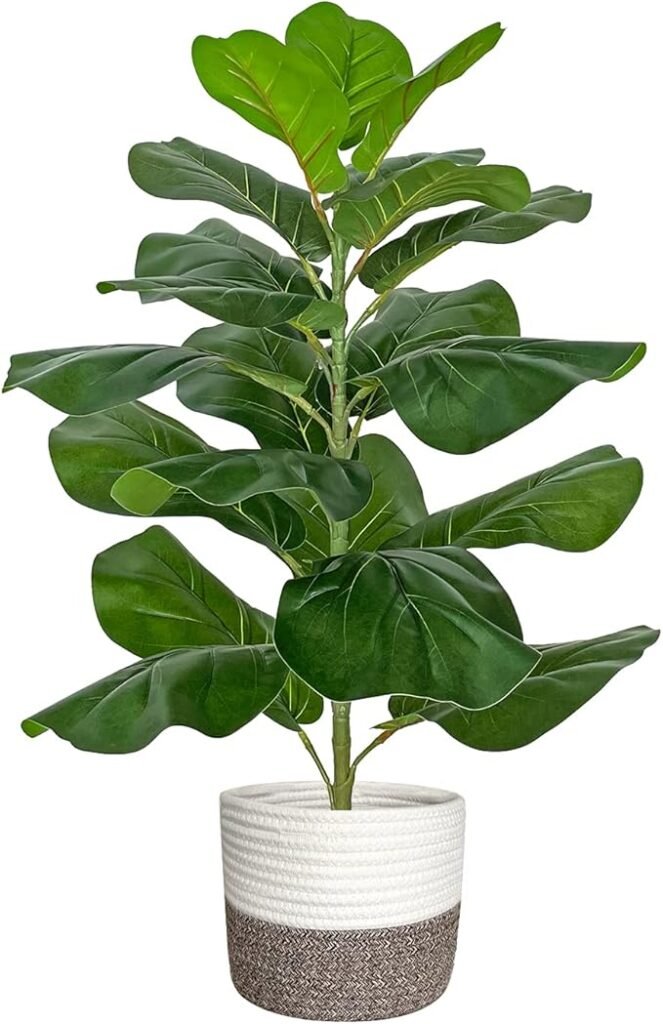 Artificial fiddle leaf fig tree with large, glossy leaves in a woven-style pot, adding a bold and lush touch to interiors.